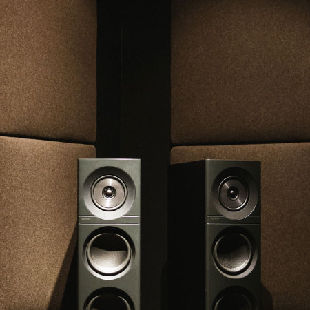 Дюбель-гвоздь SNAKE SB UK нейлон для крепления акустических панелей сквозь прикрепляемый материал.